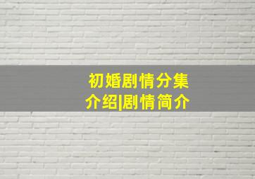 初婚剧情分集介绍|剧情简介